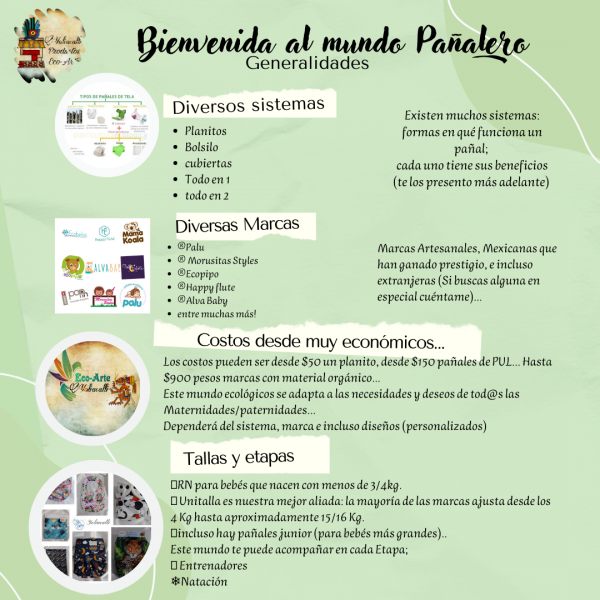 Pañales Ecológicos 